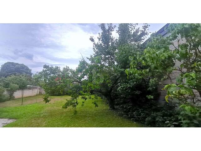 Immobilie in Breitenbrunn am Neusiedler See - TRADITIONELLES STRECKHAUS MIT UNEINSICHTIGEM GARTEN UND ZWEI GARAGEN - Bild 4