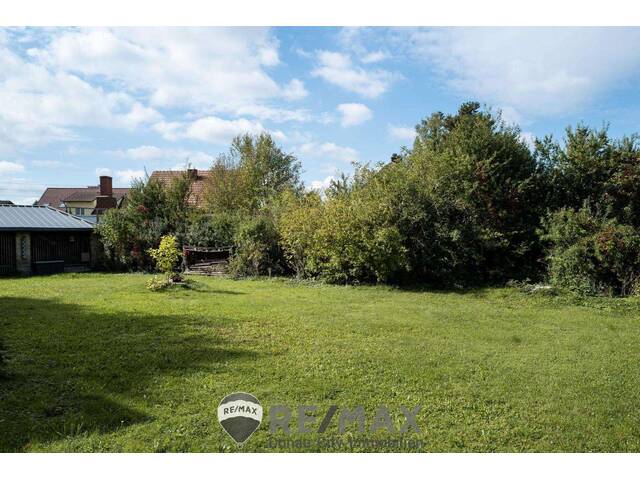 Immobilie in Zeiselmauer - Historisches Einfamilienhaus mit großem Garten - Gestalten Sie Ihr Traumhaus - Bild 0