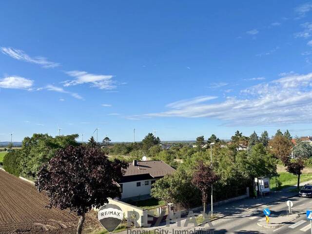 Immobilie in Deutsch-Wagram - ''Belagsfertiges EFH: Design Konzept + Fertigstellung + Küche - ZUM FIXPREIS'' - Bild 1