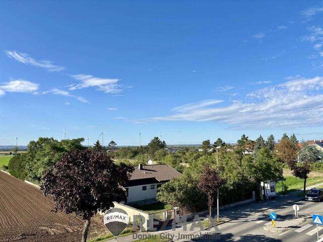 Immobilie in Deutsch-Wagram - ''Belagsfertiges EFH: Design Konzept + Fertigstellung + Küche - ZUM FIXPREIS'' - Bild 1