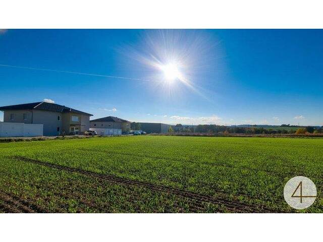 Immobilie in Hohenzell - Wohnen wie im Urlaub - Stilvolles Einfamilienhaus im modernen Chalet-Stil Individuell Planbar - Bild 1