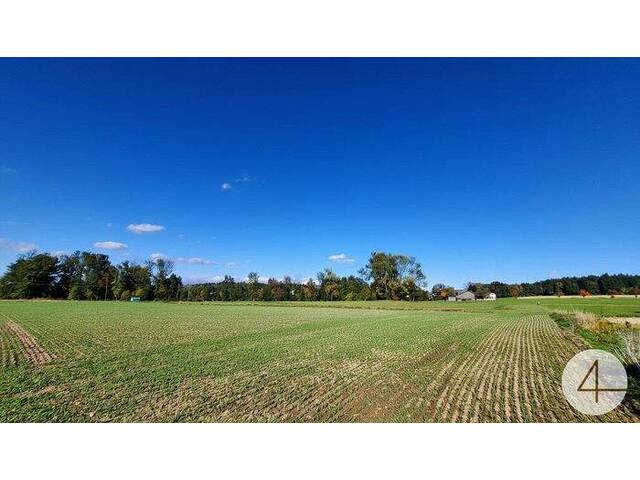 Immobilie in Hohenzell - Wohnen wie im Urlaub - Stilvolles Einfamilienhaus im modernen Chalet-Stil Individuell Planbar - Bild 3