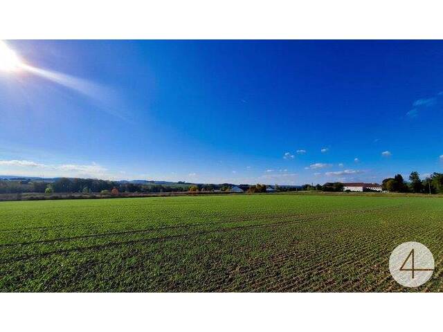 Immobilie in Hohenzell - Wohnen wie im Urlaub - Stilvolles Einfamilienhaus im modernen Chalet-Stil Individuell Planbar - Bild 4