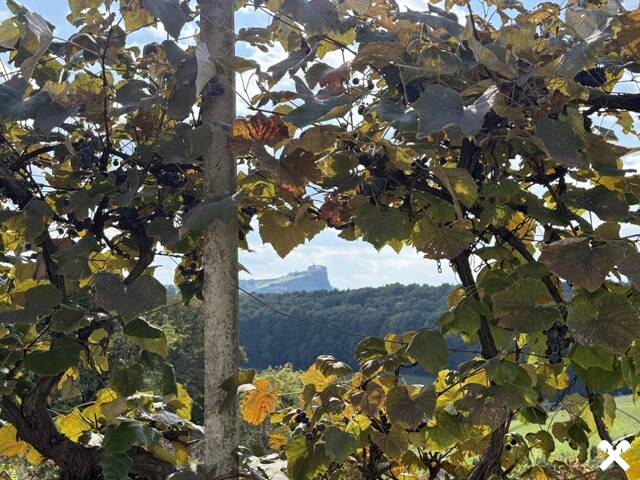 Immobilie in Lembach bei Riegersburg - Ein Platz zum Ankommen- mit Blick auf die Riegersburg - Bild 0