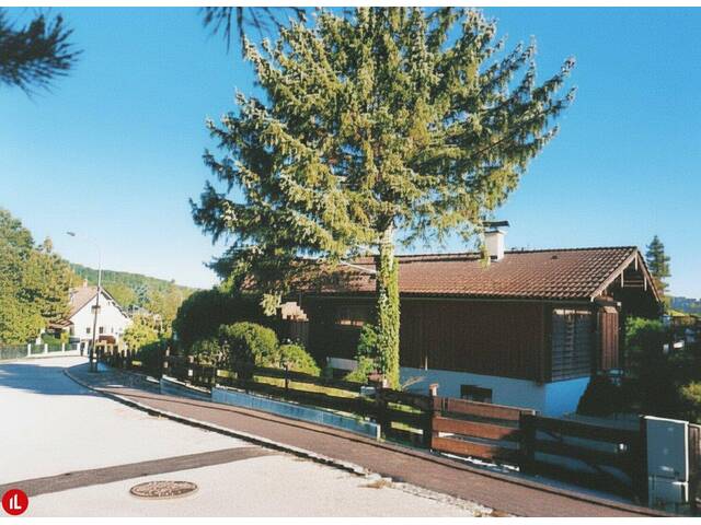 Immobilie in Seebenstein - Ihr Stückchen heile Welt – charmantes Blockhaus mit viel Platz im Grünen - Bild 3