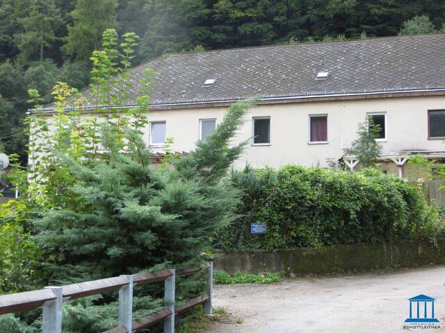 Immobilie in Waldegg - Eigentumswohnung in Waldegg - Bild 0