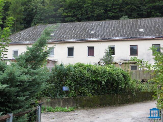 Immobilie in Waldegg - Eigentumswohnung in Waldegg - Bild 1
