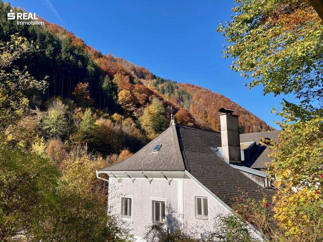 Immobilie in Waidhofen an der Ybbs - Beeindruckende Hammerherren Villa mit Weinkeller - Bild 1