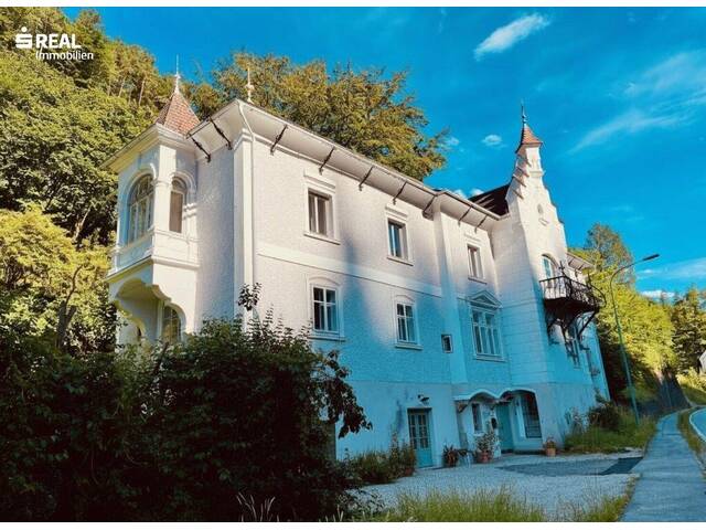 Immobilie in Waidhofen an der Ybbs - Beeindruckende Hammerherren Villa mit Weinkeller - Bild 2