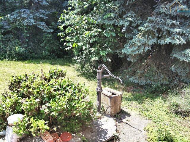 Immobilie in Kobersdorf - Bungalow in Kobersdorf: 5 Zimmer, Terrasse und viel Grün - Bild 1