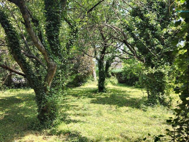Immobilie in Kobersdorf - Bungalow in Kobersdorf: 5 Zimmer, Terrasse und viel Grün - Bild 3