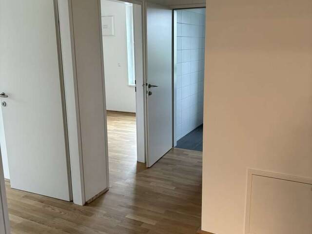 Immobilie in Tarsdorf - ERSTBEZUG - Neubauprojekt in Tarsdorf - TOP3 - Dreizimmer-Eigentumswohnung im EG - Bild 2