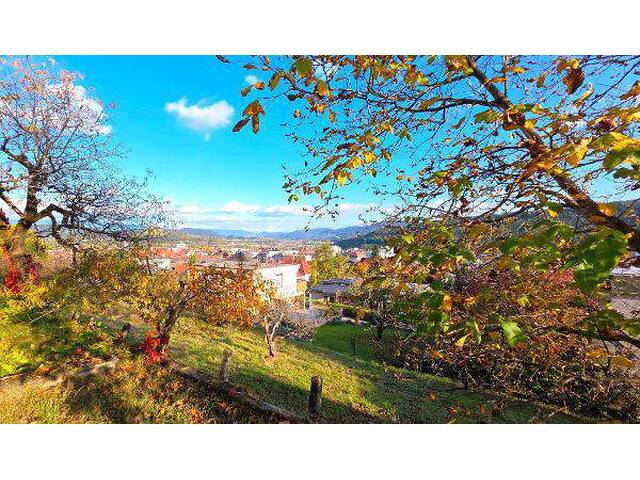 Immobilie in Frauenstein - Historische Villa in St. Veit/Glan in allerbester Lage - Bild 3