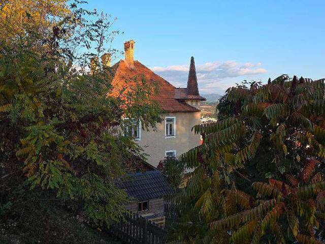 Immobilie in Frauenstein - Historische Villa in St. Veit/Glan in allerbester Lage - Bild 4