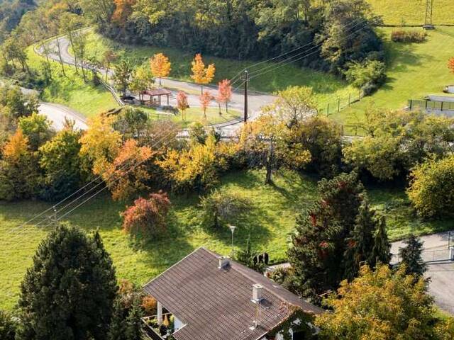 Immobilie in Forchtenstein - Wohnen mit Aussicht - Gepflegtes Mehrfamilienhaus in Forchtenstein! - Bild 4