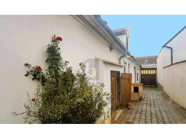 Immobilie in Großhöflein - TRADITIONELLER STRECKHOF MIT GARTEN, SCHEUNE UND ZWEITER ZUFAHRT - BAURESERVE - Bild 0