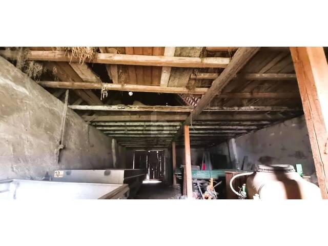 Immobilie in Großhöflein - TRADITIONELLER STRECKHOF MIT GARTEN, SCHEUNE UND ZWEITER ZUFAHRT - BAURESERVE - Bild 4