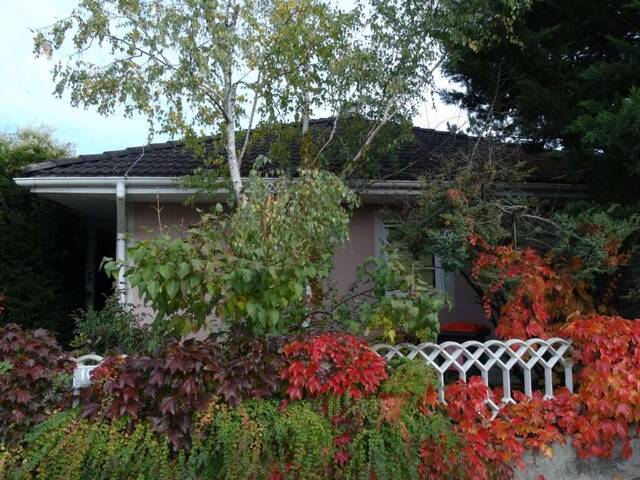Immobilie in Enzesfeld-Lindabrunn - BUNGALOW INMITTEN DER VEGETATION IN RUHELAGE - Bild 4