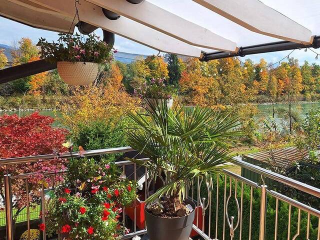 Immobilie in Hallein - Familienwärme am Kai - Bild 2