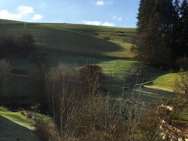 Immobilie in St. Gotthard im Mühlkreis - Einfamilienhaus in ruhiger Lage - 20 Minuten von Linz entfernt - Bild 4