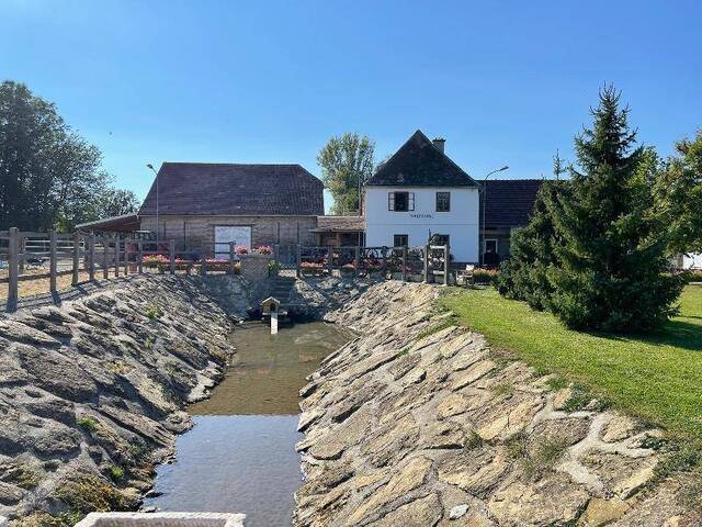 Immobilie in Ziersdorf - Historische Mühle - Pferdehaltung - Bild 1