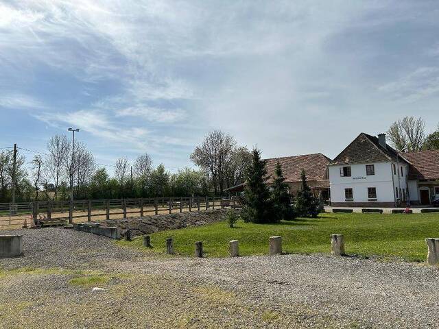 Immobilie in Ziersdorf - Historische Mühle - Pferdehaltung - Bild 3