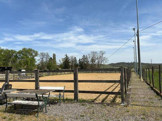 Immobilie in Ziersdorf - Historische Mühle - Pferdehaltung - Bild 4