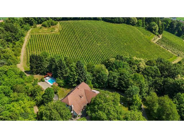 Immobilie in Gamlitz - Landsitz über Gamlitz - Ein Stück südsteirischer Kulturgeschichte - - Bild 3