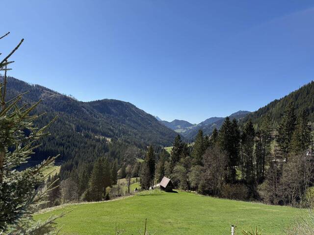 Immobilie in Oppenberg - Ihr persönliches Refugium: Gemütliches Wohnhaus mit Wellness-Highlights, Remise, Wald und atemberaubendem Bergblick - Bild 0