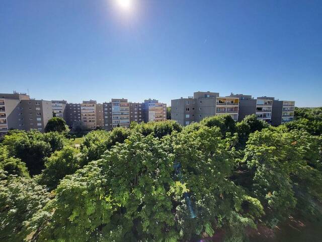 Immobilie in Traiskirchen - HELLE 2-ZIMMERWOHNUNG MIT GROSSER LOGGIA - Bild 1
