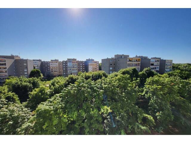 Immobilie in Traiskirchen - HELLE 2-ZIMMERWOHNUNG MIT GROSSER LOGGIA - Bild 4
