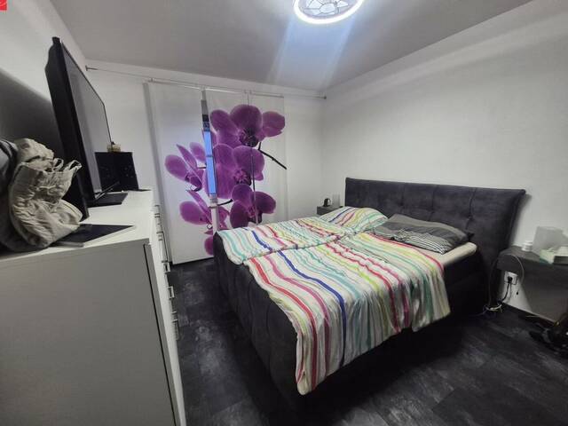 Immobilie in Gunskirchen - Geräumiges Familiennest mit Loggia & Garage - Bild 2