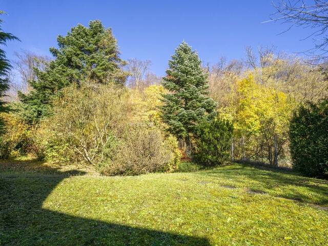 Immobilie in Purkersdorf - Eckreihenhaus mit Einfamilienhauscharakter in zentrumsnaher Aussichtsslage - Bild 2