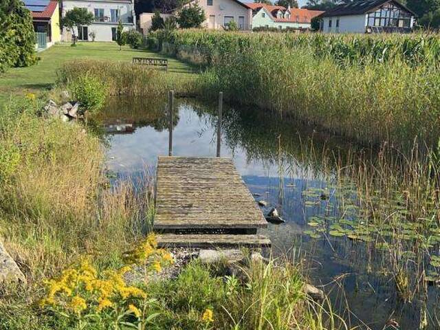 Immobilie in Hausleiten - Energiesparhaus in schöner Lage - Bild 3