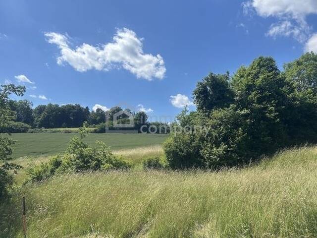 Immobilie in Weichselbaum - 4,6 ha Grund - Haus mittendrin - Einzellage - für Selbstversorger perfekt - Bild 3