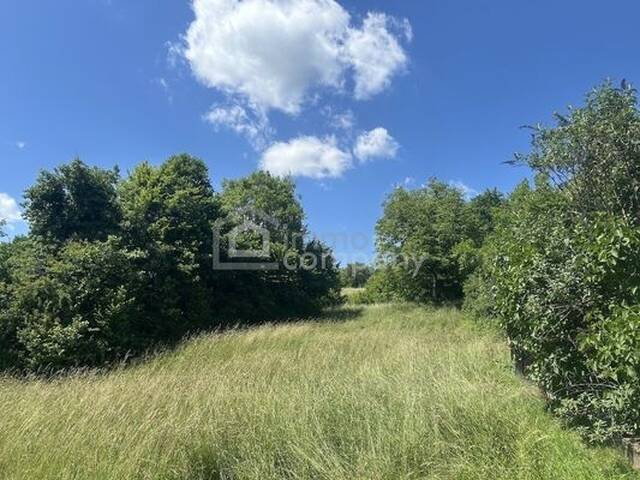 Immobilie in Weichselbaum - 4,6 ha Grund - Haus mittendrin - Einzellage - für Selbstversorger perfekt - Bild 4