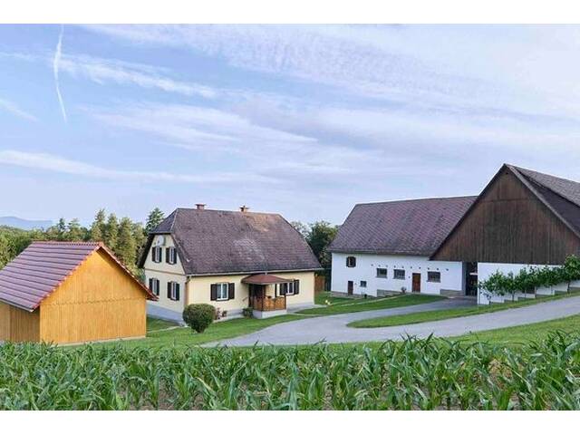 Immobilie in Sausal - Voll ausgestattete Landwirtschaft mit 9 ha in Traumlage mit Scheibengrund und Wald, sofort nutzbar! - Bild 0