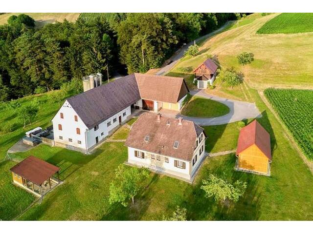 Immobilie in Sausal - Voll ausgestattete Landwirtschaft mit 9 ha in Traumlage mit Scheibengrund und Wald, sofort nutzbar! - Bild 2