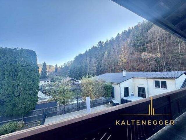 Immobilie in Edlitz - Traumhaftes Mehrfamilienhaus in Edlitz: 5 Zimmer und Pool - Bild 2