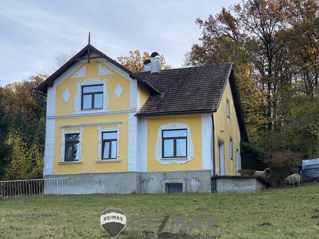 Immobilie in Atzenbrugg - Jahrhundertwende Stilhaus mit Wald - Bild 0