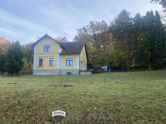 Immobilie in Atzenbrugg - Jahrhundertwende Stilhaus mit Wald - Bild 1