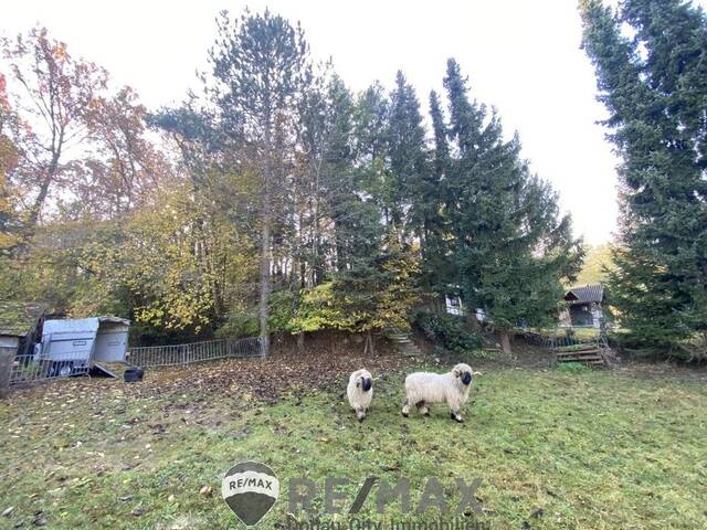 Immobilie in Atzenbrugg - Jahrhundertwende Stilhaus mit Wald - Bild 2