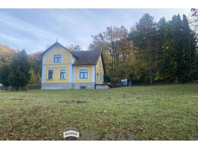 Immobilie in Atzenbrugg - Jahrhundertwende Stilhaus mit Wald - Bild 4