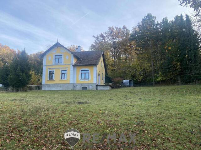 Immobilie in Atzenbrugg - Jahrhundertwende Stilhaus mit Wald - Bild 1