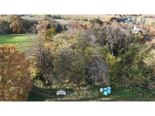 Immobilie in Atzenbrugg - Jahrhundertwende Stilhaus mit Wald - Bild 3