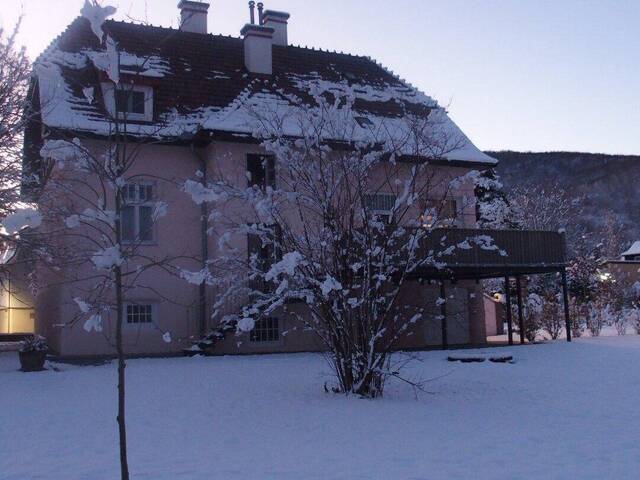 Immobilie in Seebenstein - Generalsanierte Villa Atlantis im Herzen von Seebenstein - Bild 1