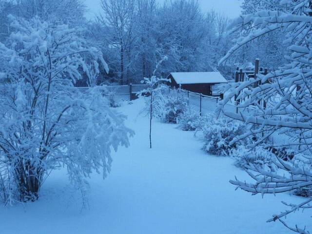 Immobilie in Seebenstein - Generalsanierte Villa Atlantis im Herzen von Seebenstein - Bild 3