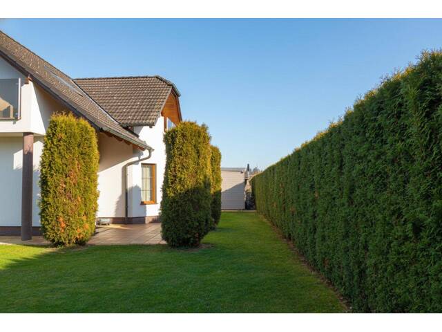 Immobilie in Neudau - Familienidylle, großzügiges EFH 8ZI-GARTEN,Terrasse in sonniger Lage mit Garage/Doppelcarport - Bild 4