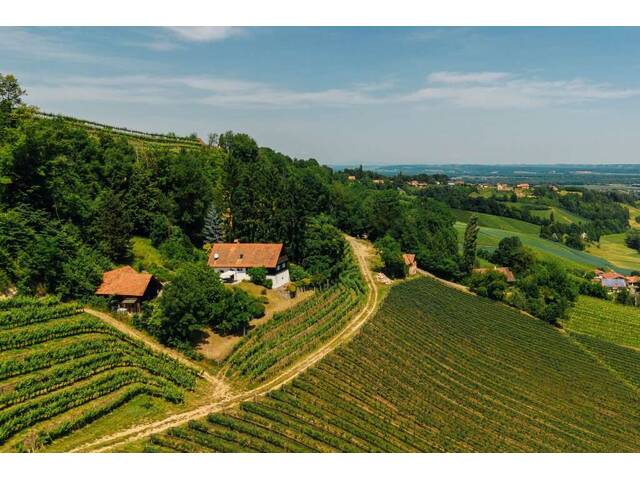 Immobilie in Graßnitzberg - Umgeben von Weinbergen mit traumhaftem Weitblick - Alleinlage in der Südsteiermark! - Bild 2