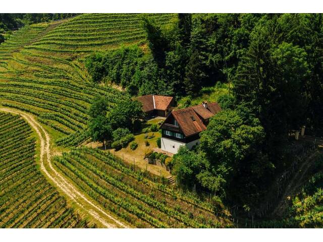 Immobilie in Graßnitzberg - Umgeben von Weinbergen mit traumhaftem Weitblick - Alleinlage in der Südsteiermark! - Bild 3